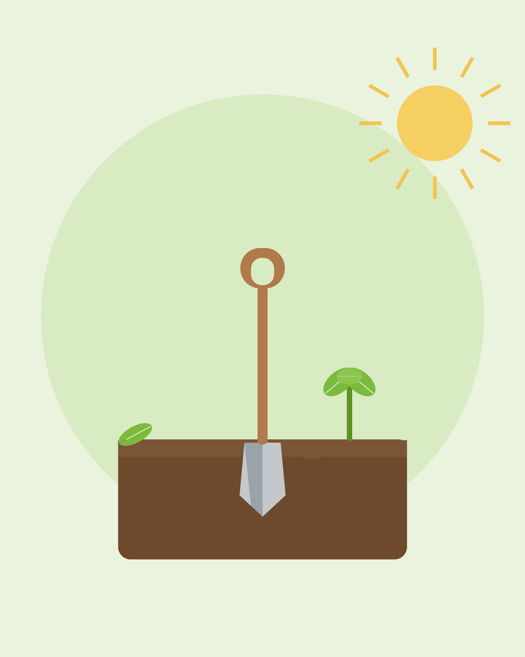 Illustration stylisée d'une bêche dans une terre préparée avec un plant — préparer votre sol, par SeedsChoice
