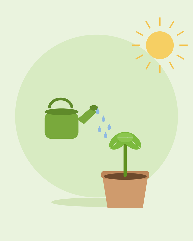 Illustration d'un arrosoir vert arrosant un semis en pot — arroser son jardin, par SeedsChoice