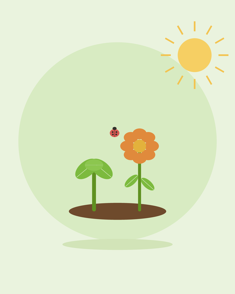 Illustration stylisée d'un légume et d'une fleur poussant côte à côte avec une coccinelle — plantation en association, par SeedsChoice