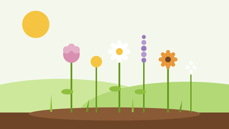 Jardin de fleurs coupées à partir de graines — illustration à plat d'un rang de fleurs coupées colorées dans un massif