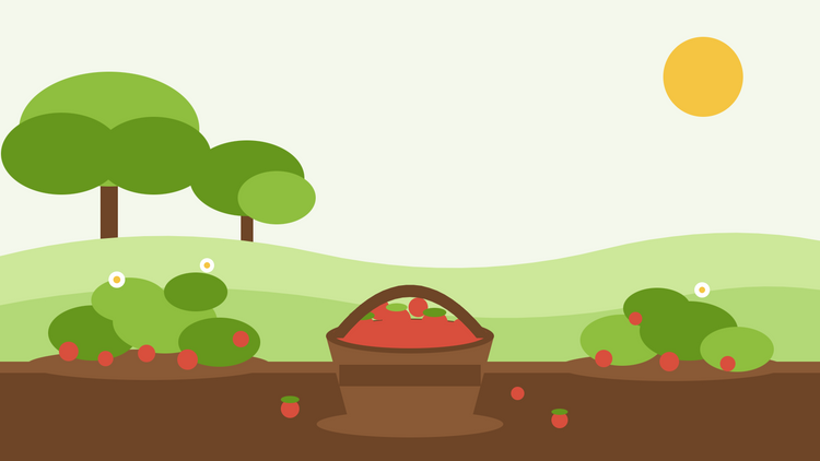 Récolte des fraises des bois — illustration de touffes basses de Fragaria vesca chargées de petites baies rouges, à côté d'un panier de fruits cueillis