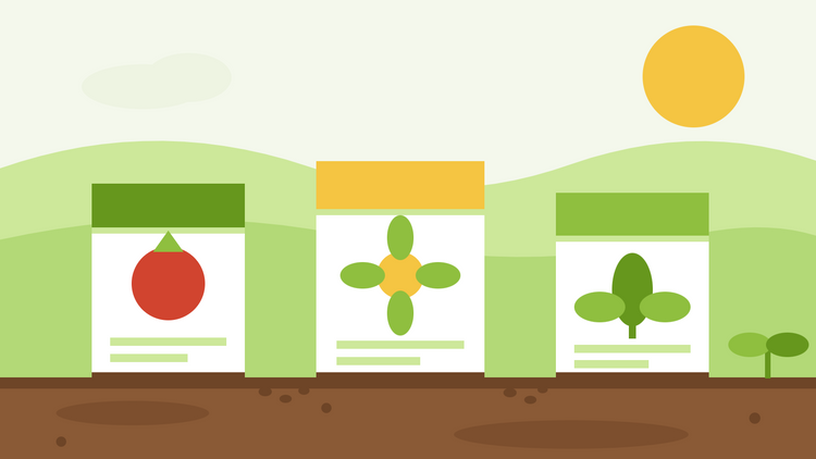 Heirloom vs F1 hybrid vs organic seeds — flat illustration of three seed packets side by side on soil with spilled seeds and a young seedling