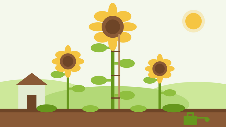 Comment faire pousser des tournesols géants — illustration de style aplat représentant un grand tournesol tuteuré entouré de tournesols plus petits et d'un abri de jardin pour l'échelle