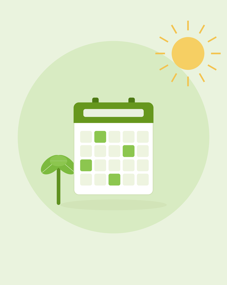 Illustration stylisée d'un calendrier mural avec une pousse — calendrier de semis mois par mois, par SeedsChoice