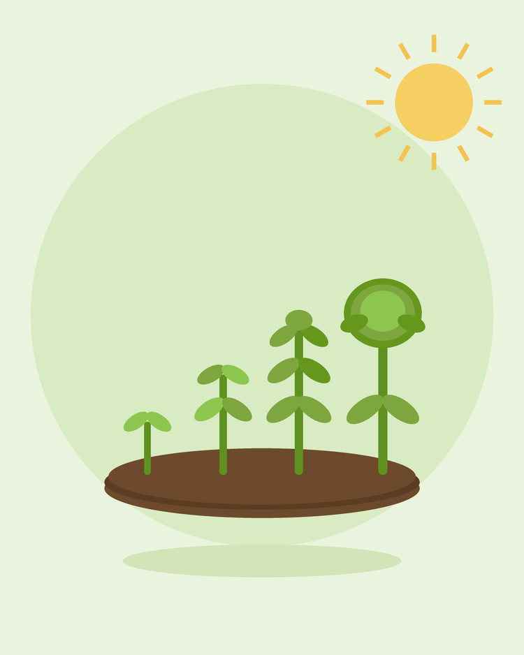 Illustration stylisée d'une rangée de plantes poussant par étapes, du germe à la récolte — semis en succession, par SeedsChoice