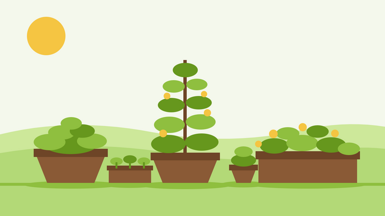 Jardinage en pot à partir de graines — illustration à plat de pots en terre cuite, d'une jardinière et d'un plateau de jeunes semis sur une terrasse ensoleillée