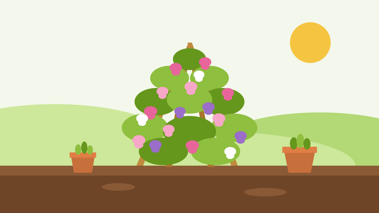 Comment faire pousser des pois de senteur à partir de graines — illustration en aplat d'un tipi de cannes recouvert de fleurs de pois de senteur roses, violettes et blanches, avec des pots de plantules à côté