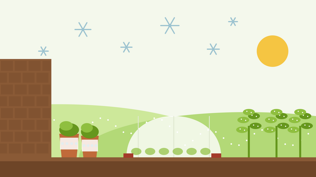 Protéger les plantes du gel — illustration en aplat d'un tunnel de voile d'hivernage sur une planche de légumes, de pots emmaillotés contre un mur de maison et de chou kale givré sous des cristaux de glace