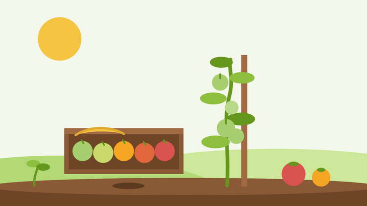 Comment faire mûrir des tomates vertes — illustration en aplat d'un plateau en bois de tomates passant du vert au rouge avec une banane, à côté d'un plant de tomates tuteuré