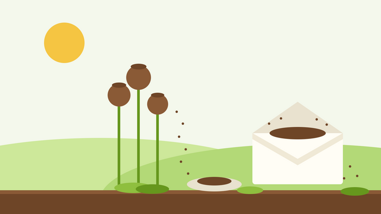 Conservation des graines — illustration en aplats de têtes de pavot mûres libérant leurs graines à côté d'une soucoupe et d'une enveloppe en papier ouverte remplie de graines
