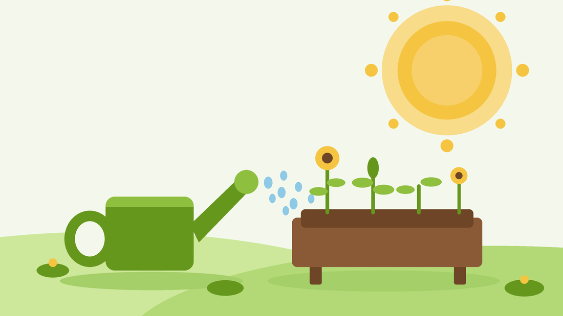 Watering in a heatwave — flat illustration of a watering can soaking a raised garden bed under a bright summer sun, from SeedsChoice