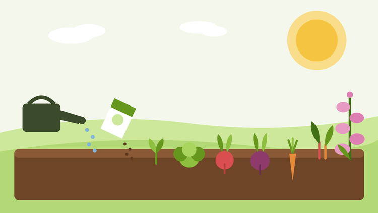 Que semer en juillet — illustration d'un carré potager estival avec salades, racines d'automne et digitales bisannuelles, par SeedsChoice