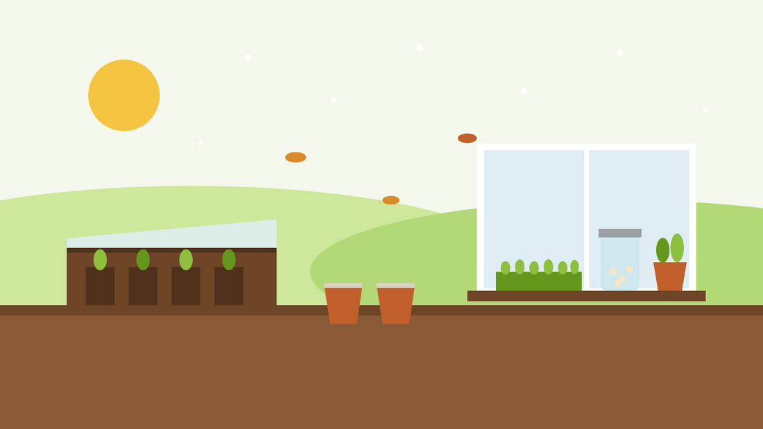 Que semer en novembre — illustration en aplats de semis sous châssis froid, de pots de vivaces dehors et d'un rebord de fenêtre avec des micropousses, un bocal de graines germées et des aromatiques