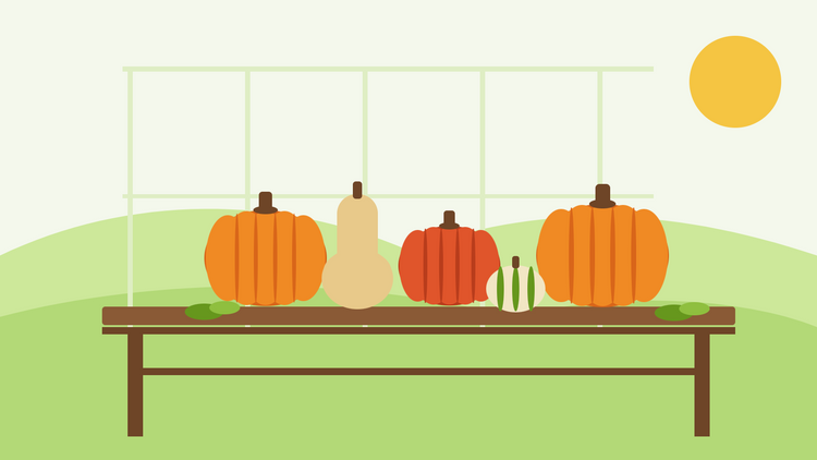 Quand récolter les potirons — illustration épurée de potirons oranges, d'un potimarron rouge et d'une courge butternut en train de sécher sur un banc en bois de serre sous le soleil d'automne