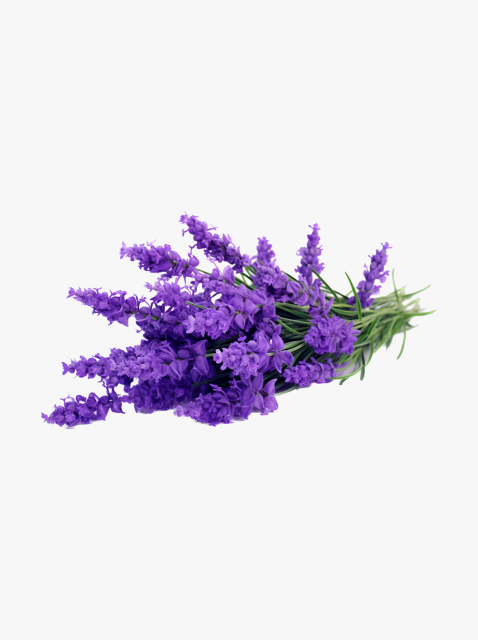 collection_image