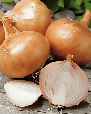 Graines d'échalote Creation F1 (Allium cepa) – annuel