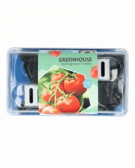 Graines de tomate Maja Solanum Lycopersicum kit serre variété de terrasse