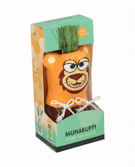 Ray-grass d'Italie graines Lolium Multiflorum kit
