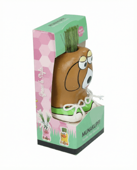Lolium Multiflorum graines Lolium Multiflorum kit d'herbe