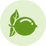 Citrus Plants