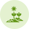 Planting Period