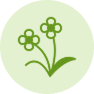 Wildflowers