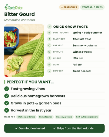 Bitter Gourd Momordica charantia, informations de culture rapides : semer en intérieur au printemps, repiquer après les dernières gelées, récolte de l'été à l'automne, plantes grimpantes jusqu'à 120 cm et plus sur un treillis, plein soleil
