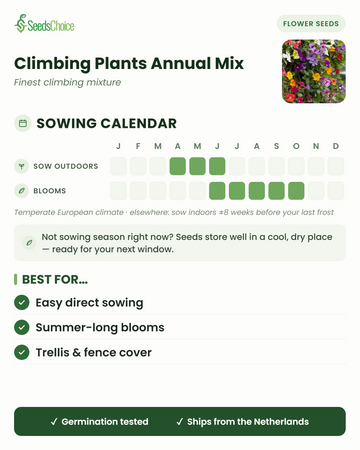 Calendrier de semis pour le Climbing Plants Annual Mix dans un climat européen tempéré : semis direct d'avril à juin, floraison de juin à octobre ; les graines se conservent bien jusqu'à la prochaine saison de semis