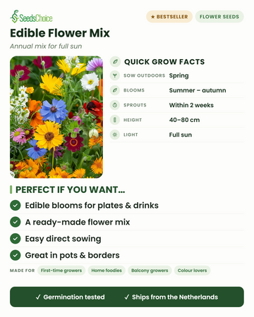 Informations rapides sur le Mélange de Fleurs Comestibles : semis direct au printemps, floraison de l'été à l'automne, hauteur 40-80 cm, plein soleil — fleurs comestibles pour assiettes et boissons en mélange prêt à l'emploi
