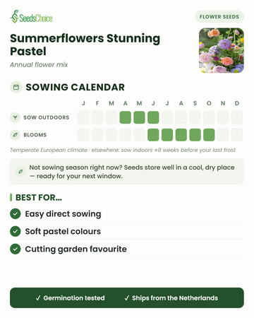 Calendrier de semis pour le Summerflowers Stunning Pastel dans un climat européen tempéré : semis direct d'avril à juin, floraison de juin à octobre ; les graines se conservent bien jusqu'à la prochaine saison de semis