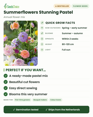 Summerflowers Stunning Pastel Mix Blooms en bref : semis direct du printemps au début de l'été, floraison de l'été à l'automne, hauteur 80-120 cm, plein soleil — un mélange pastel prêt à couper